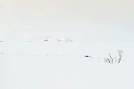 johannes kuehn photography and cgi berlin