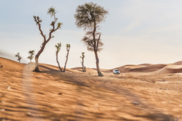 johannes kuehn photography and cgi berlin