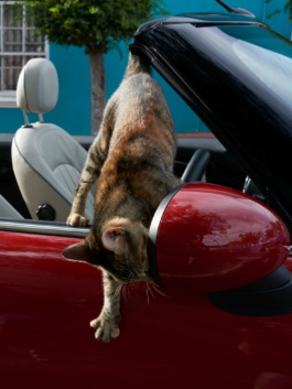 johannes kuehn photography and cgi berlin