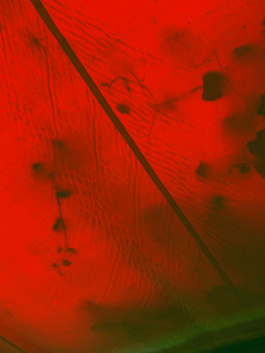 johannes kuehn photography and cgi berlin